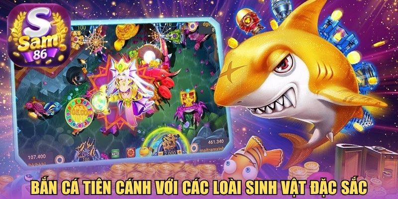 Bắn cá tiên cánh với các loài sinh vật đặc sắc