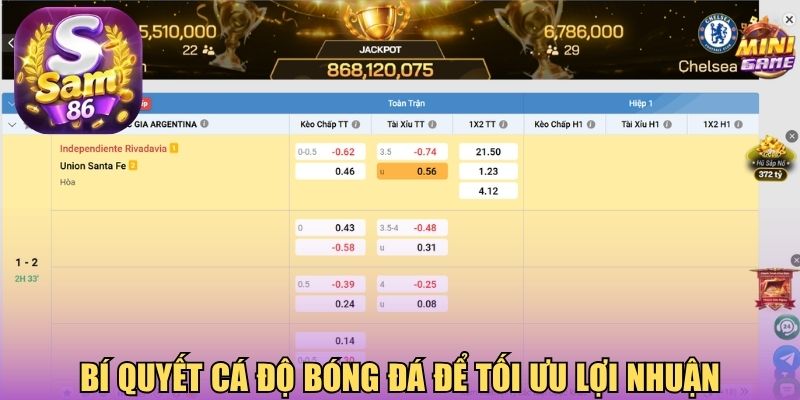 Bí quyết cá độ bóng đá để tối ưu lợi nhuận