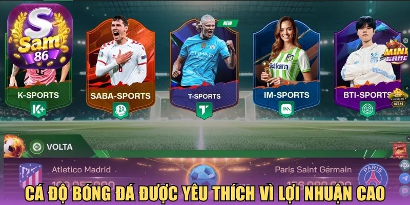 Cá độ bóng đá được yêu thích vì lợi nhuận cao