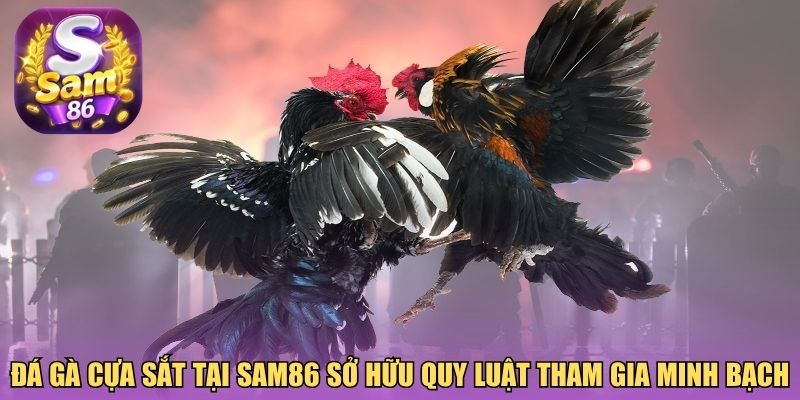 Đá gà cựa sắt tại Sam86 sở hữu quy luật tham gia minh bạch