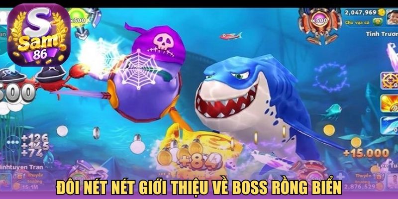 Đôi nét nét giới thiệu về boss rồng biển