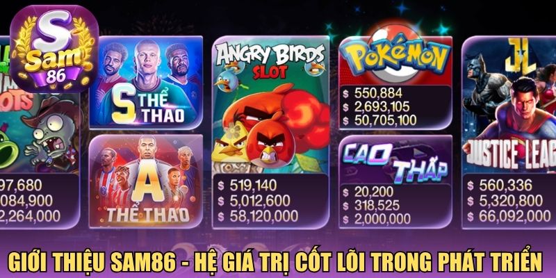 Giới thiệu Sam86 - Hệ giá trị cốt lõi trong phát triển 
