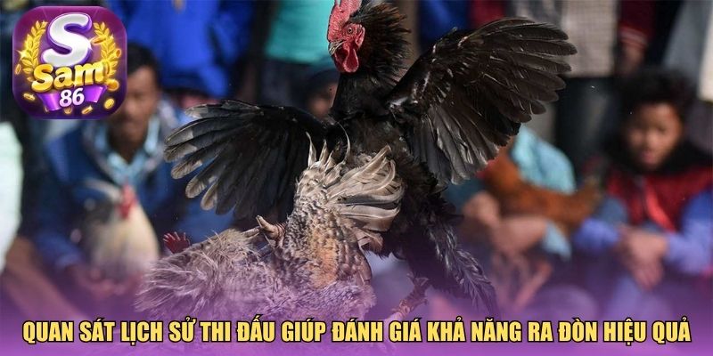 Quan sát lịch sử thi đấu giúp đánh giá khả năng ra đòn hiệu quả
