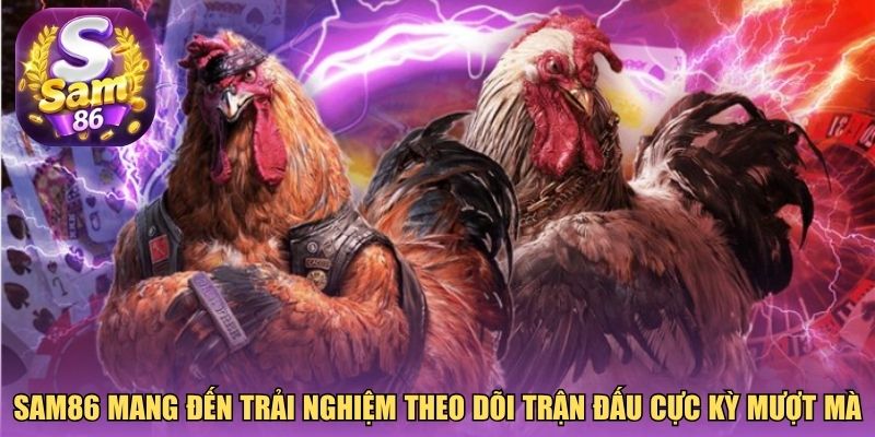 Sam86 mang đến trải nghiệm theo dõi trận đấu cực kỳ mượt mà